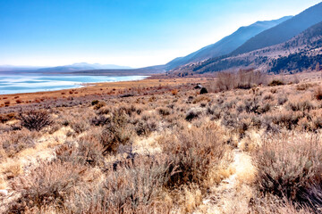scenery around mono lake in california