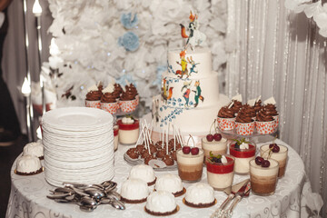 cake with christmas decoration