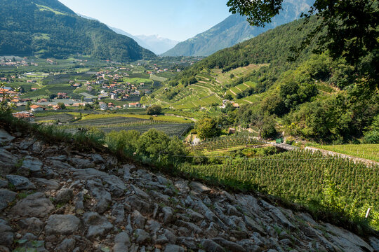 Blick auf Algund in Südtirol 