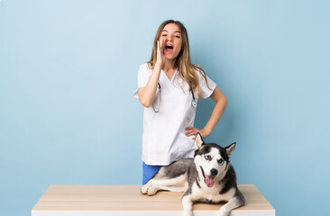 Veterinary doctor at vet clinic with Siberian Husky dog over isolated blue background shouting with mouth wide open