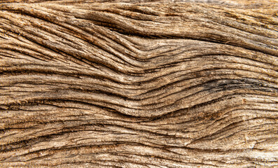 Wood texture