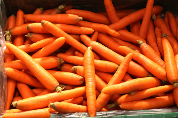 Close up of a group of red carrots in the market, Geneva, Switzerland, Europe