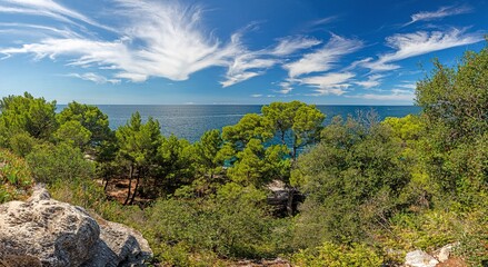 Fototapeta na wymiar View over typical coast landscape of Istria in summer