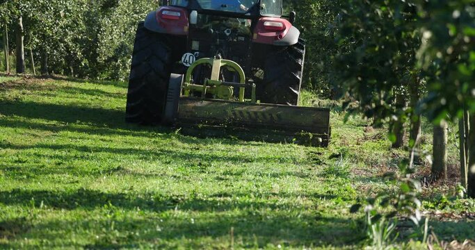The agricultural machinery essential for the maintenance of farms and plantations, in this case a tractor cleans and prepares the soil for apple harvesting.