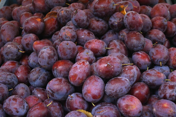 Group of fresh and ripe prunes in the market, Prague, Czech Republic