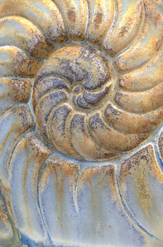 Closeup macro photograph of nautilus seashell pattern impressed in ceramic clay