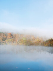 Fall Foliage Through Mist