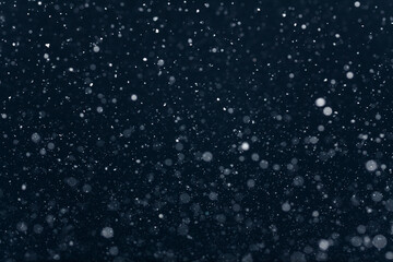 Snow Falling in the Sky