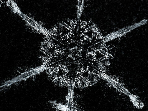 Snowflake macro