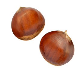 Chestnut Isolated on white background. Autumn Chestnuts for Christmas Top view. Flat lay