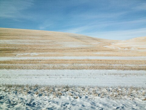 A Dusting of Snow on Wheat Fields