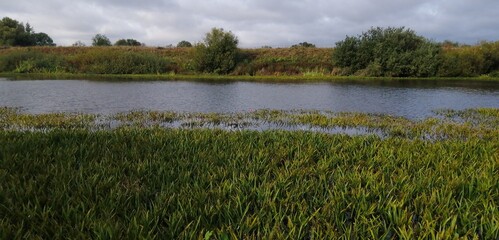 #природа
#Пруд
#вода
#рыбалка