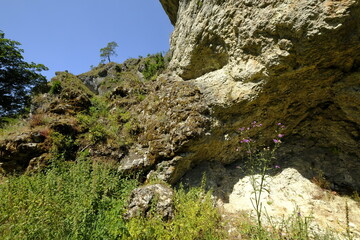 Landschaft und Felsenhänge im Kleinziegenfelder Tal, Fränkische Schweiz, Landkreis Lichtenfels, Oberfranken, Franken, Bayern, Deutschland