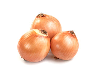 Fresh Onion isolated on white background