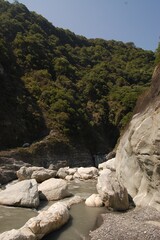 Beautiful view of the tress 