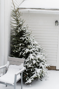 snow fall on a patio