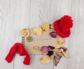 Cozy home desk, autumn fall concept. Red scarf, hat, notepad, dried flowers on wooden background. Flat lat, top view, copy space.
