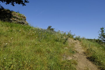 Landschaft und Felsenhänge im Kleinziegenfelder Tal, Fränkische Schweiz, Landkreis Lichtenfels, Oberfranken, Franken, Bayern, Deutschland