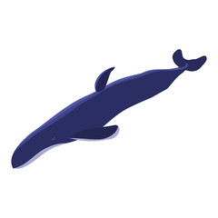 Big whale isolated on white. The largest marine mammal. Vector EPS10.