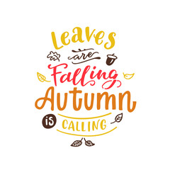 Vector lettering illustration of Leaves are falling autumn is calling on white background. Lettering and calligraphy for poster, background, postcard, banner.