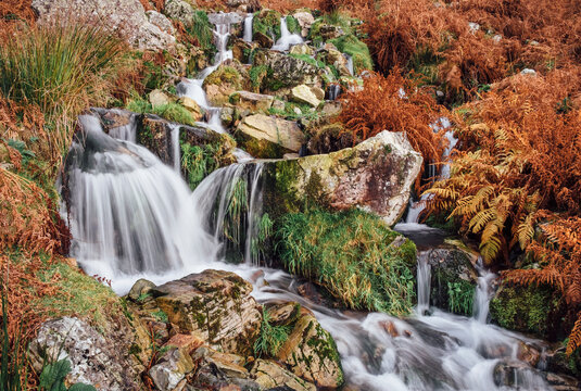 Detail of Cinerdale Beck, Rannerdale, Cumbria, UK.