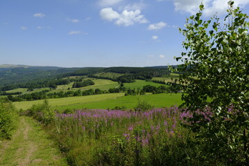 Landschaft am Schwedenwall im Biosh&auml;renreservat Rh&ouml;n zwischen Hessischer Rh&ouml;n und Bayerischer Rh&ouml;n, Deutschland
