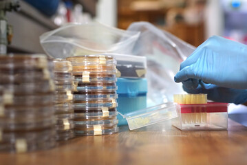 Lab professional organizing DNA sample material