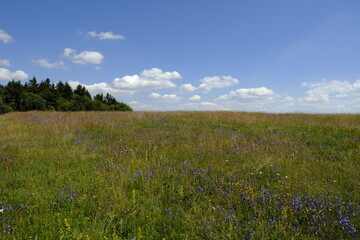 Landschaft am Schwedenwall im Bioshärenreservat Rhön zwischen Hessischer Rhön und Bayerischer Rhön, Deutschland