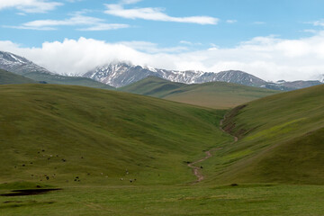 Green and snow-covered peaks, cloudy skies, scenic landscape on plateau Assy in Kazakhstan