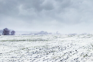 Snow-covered winter field and cloudy sky over the field