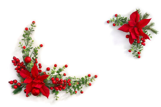 Christmas decoration. Frame of flowers of red poinsettia, branch christmas tree, red berries on white background with space for text. Top view, flat lay
