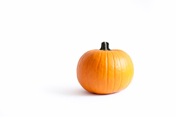 Close up shot of a single classic orange pumpkin isolated on bright background as a symbol of autumnal holidays with a lot of copy space for text.