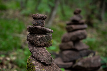 stones in the forest