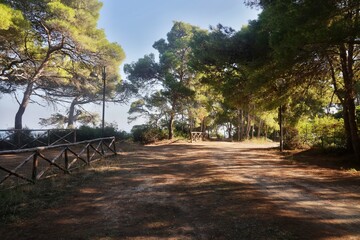 Strada per la Punta del diamante Tremiti