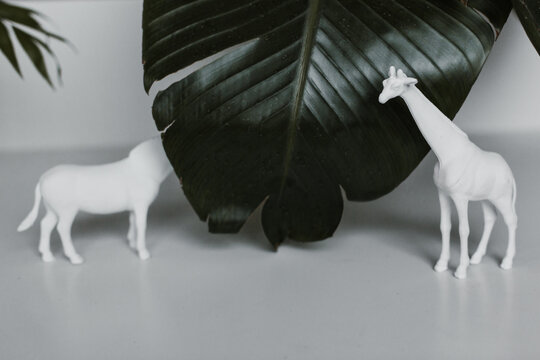 white giraffe and zebra figurines with green leaf