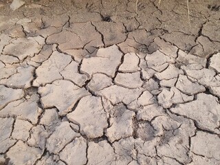 Dry soil texture