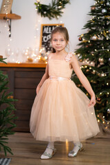 Obraz na płótnie Canvas Little girl in princess dress celebrates christmas. Christmas magic fairy tale. Happy childhood
