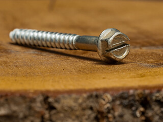 close-up screw on wooden background