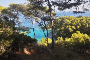 Obraz premium Cala Spido Tremiti