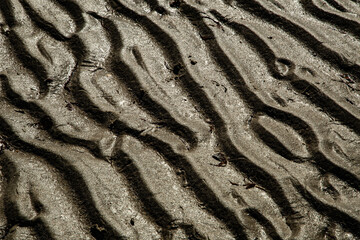 Sand Lines