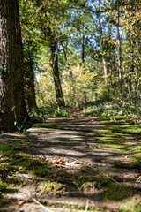 close up of an old wooden bridge