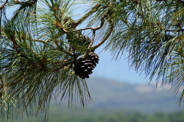 landscapes of Turkey