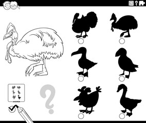 Fototapeta premium shadows game with cassowary character coloring book page
