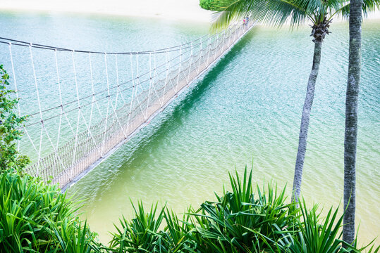 Hanging bridge over sea and palms on beach