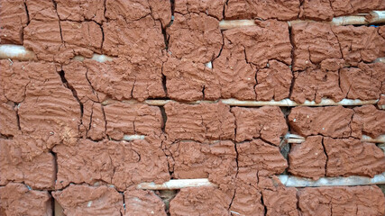 Closeup on cob wall texture