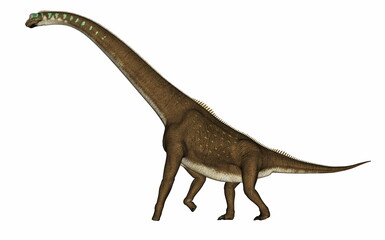 Giraffatitan dinosaur walking isolated in white background - 3D render © Elenarts