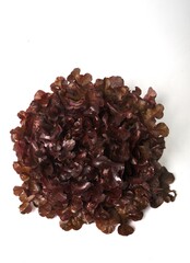 Red oak leaf salad on white background