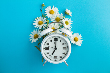 White alarm clock and bouquet of white chamomiles in the center of the blue background closeup