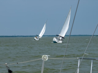 Sail Boat Race