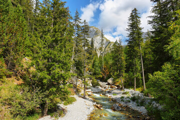 Forest and river with Le Moriond mountain behind in Vanoise national park, french alps, France